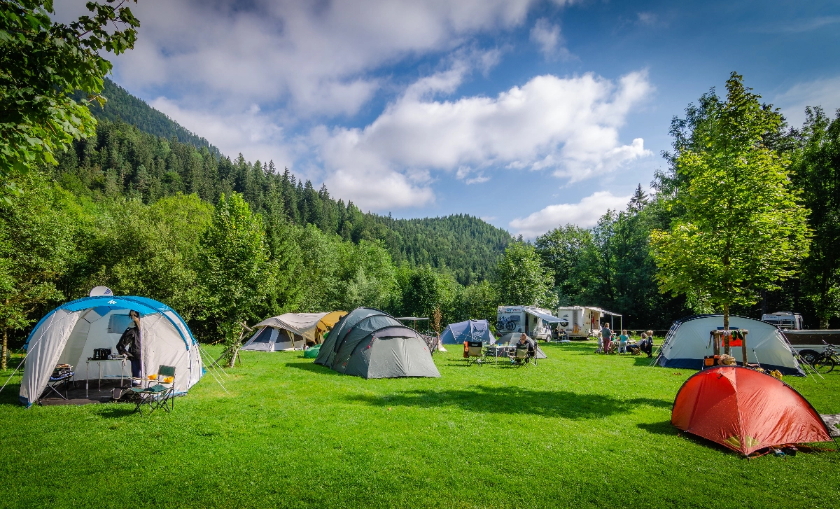 Our about image for A1 Camping Site.  See more information for our Dorking location.